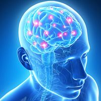 Futuristic graphic representation of a human brain with blocked vessels or strokes