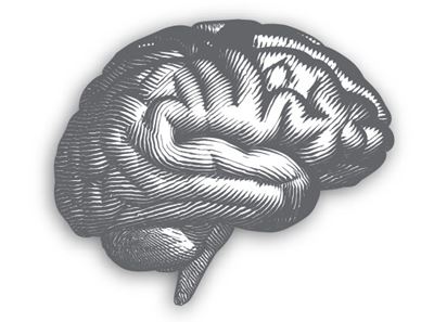 Black and white drawn image of brain