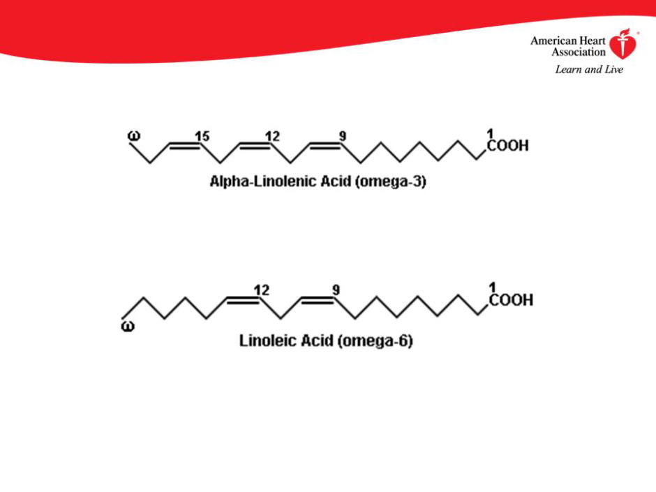 Omega6 Fatty Acids in the Hierarchy of Cardiovascular Protection
