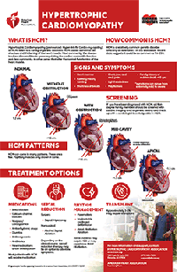 A thumbnail image of the Hypertrophic Cardiomyopathy infographic in collaboration with HCMA