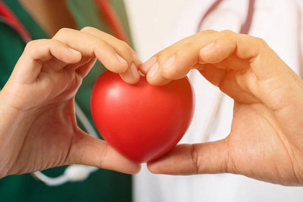 Two hands shaping a heart