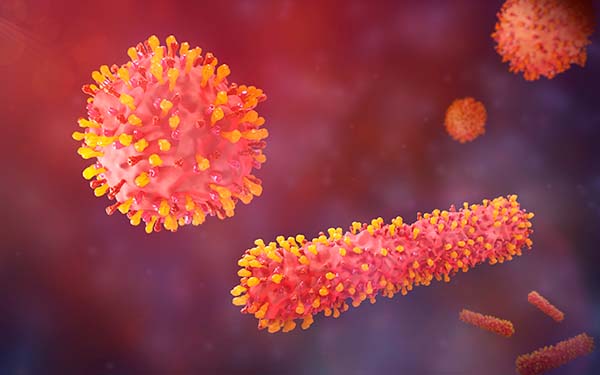 Respiratory syncytial virus RSV particles 3d illustration RSV causes respiratory infections