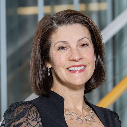 Cheryl R. Himmelfarb, PhD, RN, FAAN, FAHA, FPCNA