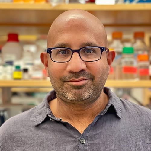 Saumya Das, MD, PhD, MSc