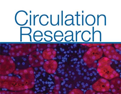 Circulation Research graphic