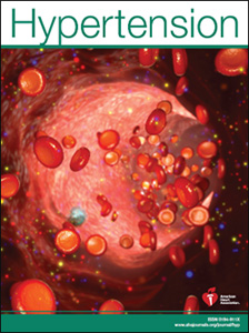 Hypertension Journal cover