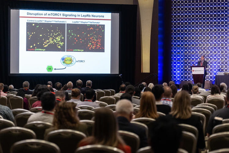 Kamal Rahmouni, PhD presents during #Hypertension24.