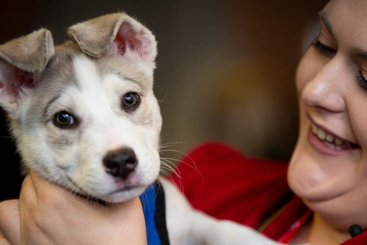 Women snuggling with a puppy