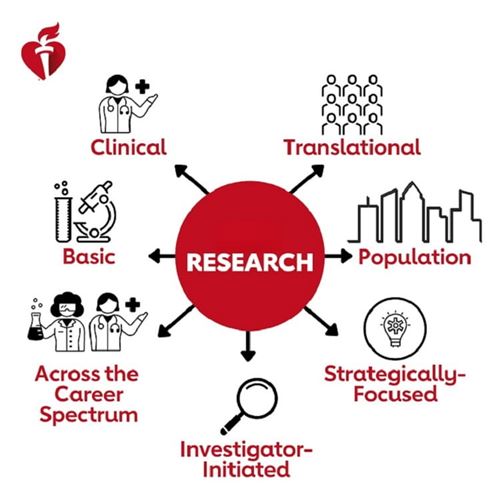 Decorative illustration of types of research funded: basic, clinical, translational, population, strategically focused, investigator-initiated, and across the career spectrum.