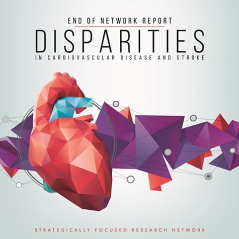 Decorative Disparities summary cover page illustration