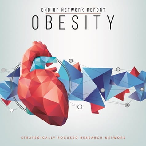 Decorative Obesity summary cover illustration