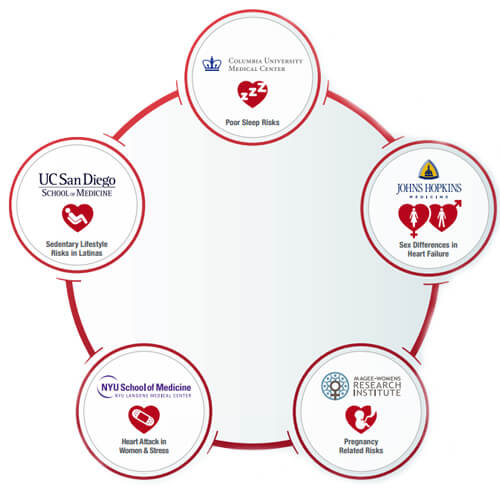 Collaboration Circles