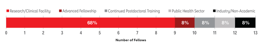 Percentage bar for the number of fellows and their discipline