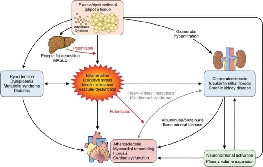 Illustration that is explained by the caption text on this page.