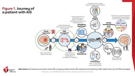 2026 AIS Guideline Essentials Clinical Slides Image