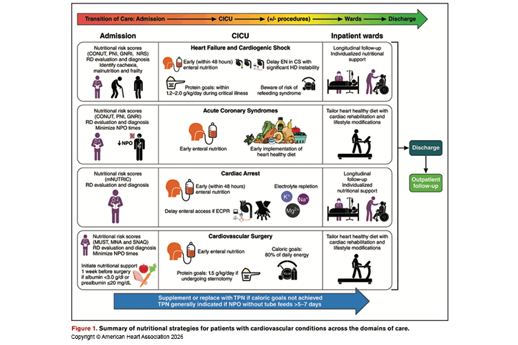 Figure 1 Summary of nutritional strategies for patients with cardiovascular conditions across the domains of care.