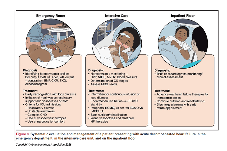 Illustration of evaluation and management of a patient presenting with acute decompensated heart failure