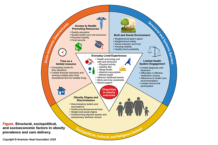 Illustration showcasing structural, sociopolitical and socioeconomic factors in obesity and care delivery 