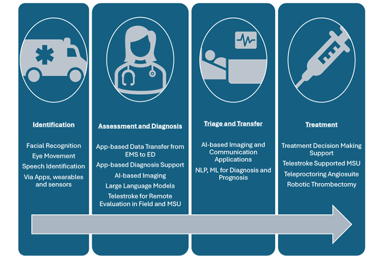 Illustration showing four stages of care: Indentification, Assessment/Diagnosis, Triage/Transfer, and Treatment
