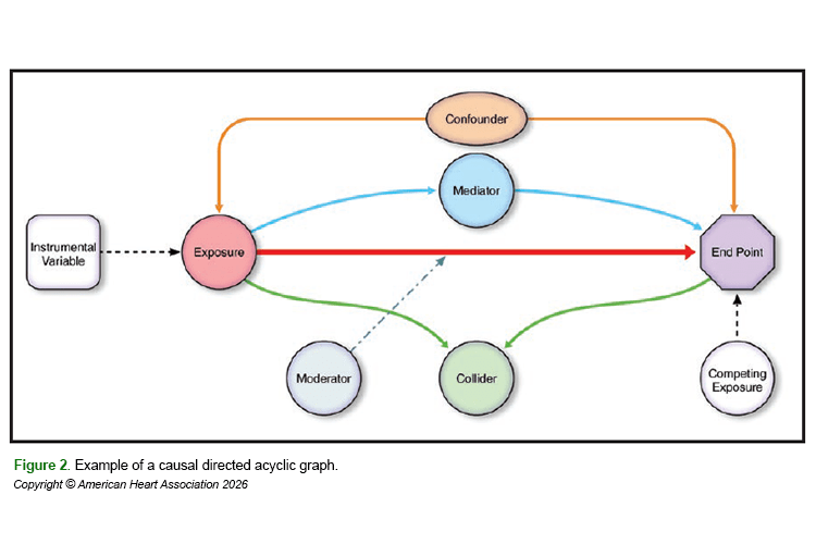 Illustrated example of causal directed acyclic graph