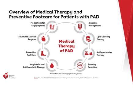 AHA Clinical Update: 2024 AHA/ACC/AMSSM/HRS/PACES/SCMR Guideline for the Management of Hypertrophic Cardiomyopathy Slide Set