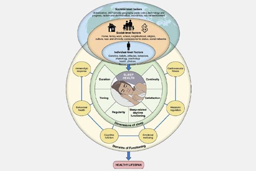 societal level factors