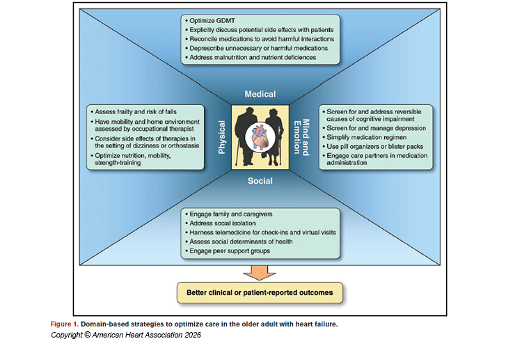 Illustration showing domain-based strategies to optimize care in older adults with heart failure. 
