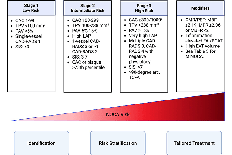 Nonobstructive CAD chart showing stages