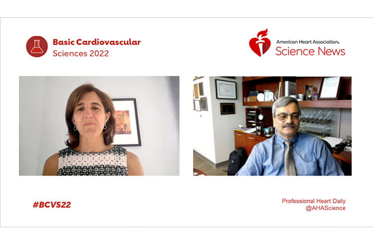 Play the BCVS 2022 Meeting Wrap Up video